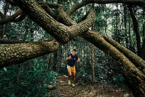 BIB: 
                            <button type="button" onclick="openModal(25664502)" class="btn btn-primary btn-sm float-right btn-popup" data-toggle="modal" data-target=".modal-high-quality">
                        <i class="fas fa-shopping-cart"></i> Add to Cart
                    </button>
                                            <button type="button" onclick="isThisMe(25664502, true)" class="btn btn-success btn-sm float-right btn-popup btn-isme hidden" data-toggle="tooltip" data-placement="bottom" title="นี่คือรูปของคุณใช่ไหม คลิกที่นี่เพื่อเอาเข้าอัลบั้ม">
                        <i class="fas fa-plus"></i> Add to album
                    </button>
                    <button type="button" onclick="isThisMe(25664502, false)" class="btn btn-warning btn-sm float-right btn-popup btn-isnotme hidden">
                        <i class="fas fa-ban"></i> Remove from album
                    </button>